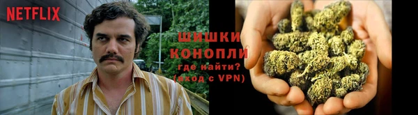 мдпв Вязники