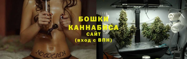 мдпв Вязники