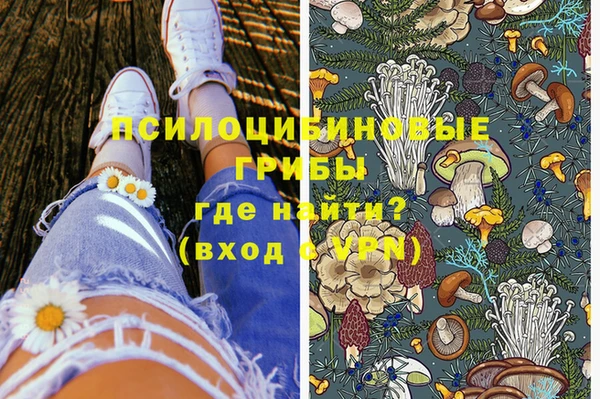 мдпв Вязники