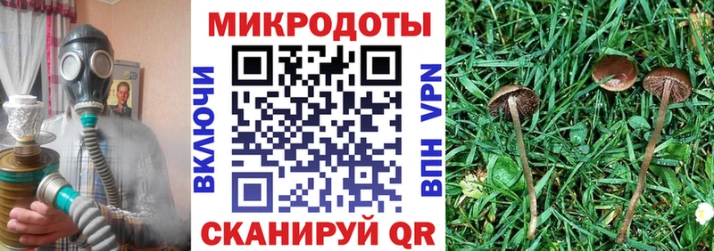Купить закладки  Ливны  Псилоцибиновые грибы Psilocybe 